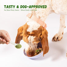 Load image into Gallery viewer, Vetriuntrix Dog Teeth Cleaning Powder, Dog Dental Powder for Teeth Cleaning and Dog Breath Fresh for Dogs with Probiotic &amp; Tartar Remover, Plaque Off Dog Tooth Cleaning (80g)
