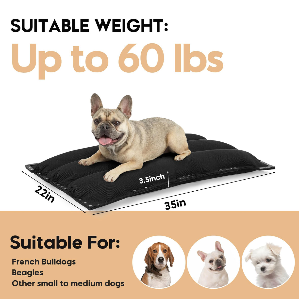MABOZOO Chew-Proof Dog Bed with Metal Rivets, Durable Kennel Mat for Aggressive Chewers, Waterproof Crate Pad with Shredded Foam Fill for Medium Dogs (Indoor/Outdoor Use)
