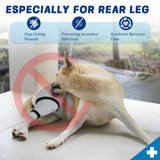 Joypig Dog Sleeve for Rear Legs to Stop Licking, Upgraded Surgical Recovery Sleeve for Hind Back Leg Wound,TPLO, ACL Surgery, Light Comfortable Cone Alternative (S,Black-Gray)