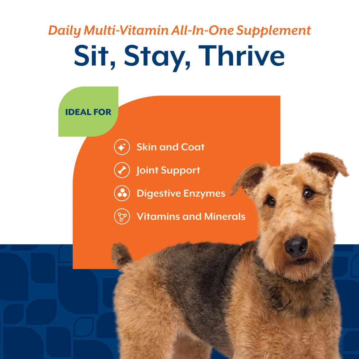 NaturVet All-in-One Dog Supplement - for Joint Support, Digestion, Skin, Coat Care – Dog Multivitamins with Minerals, Omega-3, 6, 9 – Wheat-Free Vitamins for Dogs – 120 Soft Chews