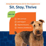 NaturVet All-in-One Dog Supplement - for Joint Support, Digestion, Skin, Coat Care – Dog Multivitamins with Minerals, Omega-3, 6, 9 – Wheat-Free Vitamins for Dogs – 120 Soft Chews