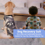 PET Glam Recovery Suit for Dogs Cats, After Surgery, Alternative E-Collar Dog CAT. PET Shirt Breathable Abdominal Wounds, Neuter Cotton, Prevent Licking Onesie Surgical (Green, XXL)