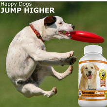 Load image into Gallery viewer, Amazing Turmeric for Dogs Curcumin Pet Antioxidant, Eliminates Joint Pain Inflammation, 120 Chews
