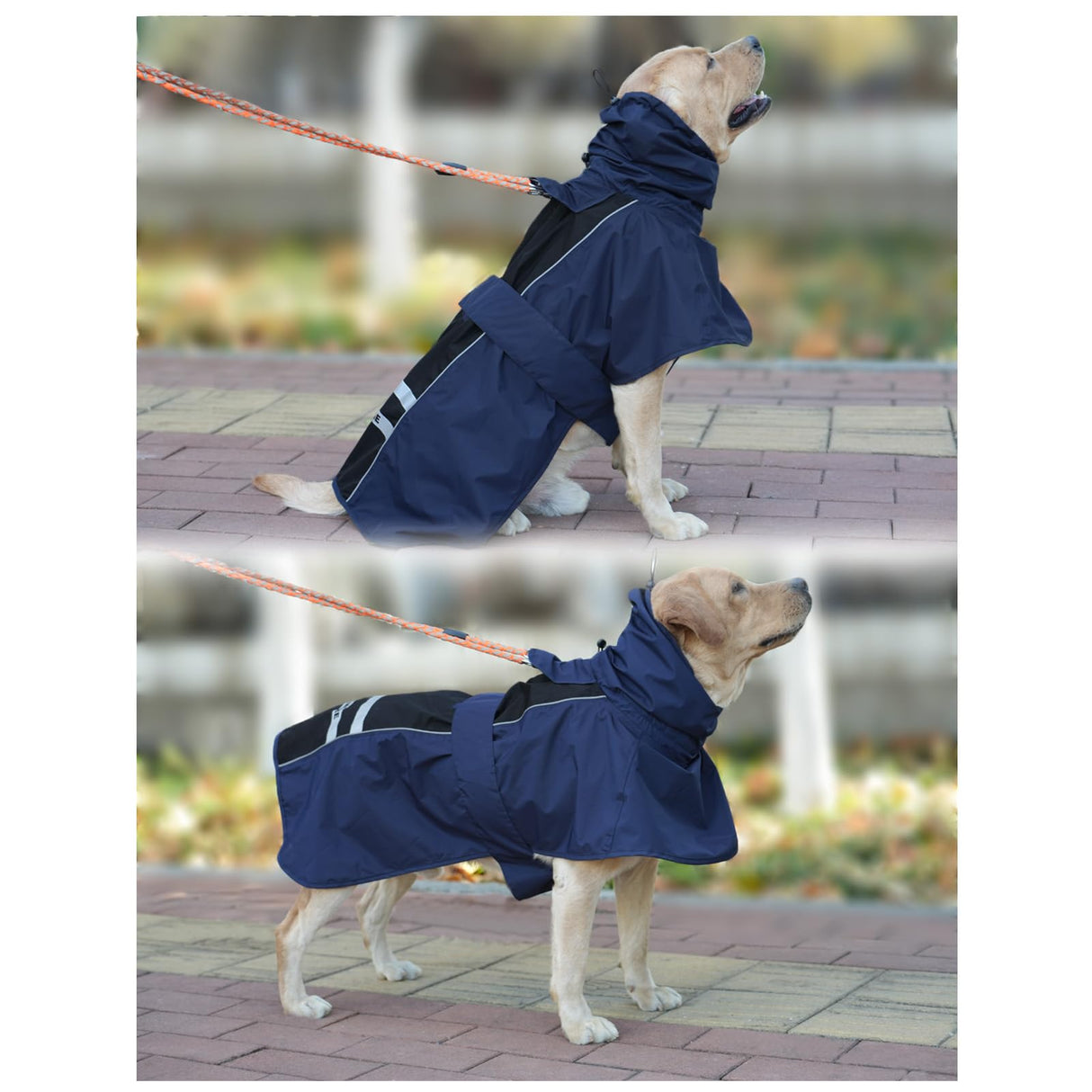 Adjustable Dog Raincoat, Waterproof Dog Rain Jacket for Small Medium Large Dogs,Reflective Lightweight Pet Rain Coat with Leash Hole (Navy&Black, Medium)
