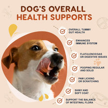Load image into Gallery viewer, Probiotics for Dogs, Dog Probiotics for Digestive Health, Plus Pumpkin and Fish Oil, for Gut &amp; Itchy, 120 Soft Chews
