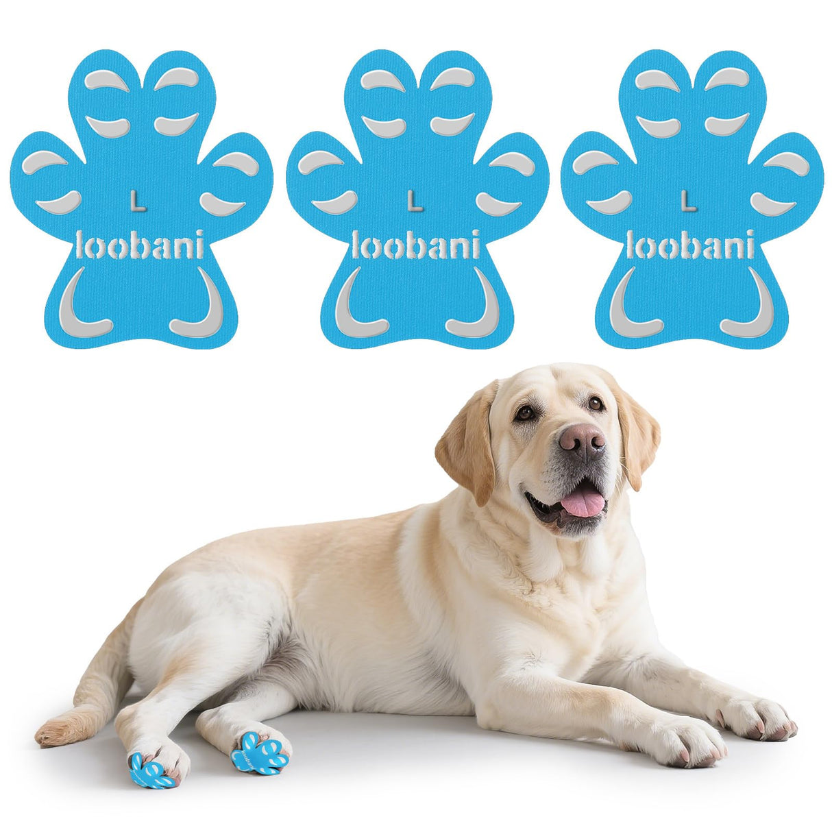 Paw Pads for Dogs Traction - Anti-Slip Sticky Dog Paw Protector Pads for Senior Dogs, Non Slip Adhesive Dog Paw Pads Anti Slip for Slippery Hardwood Floors to Prevent Slipping While Walking Running