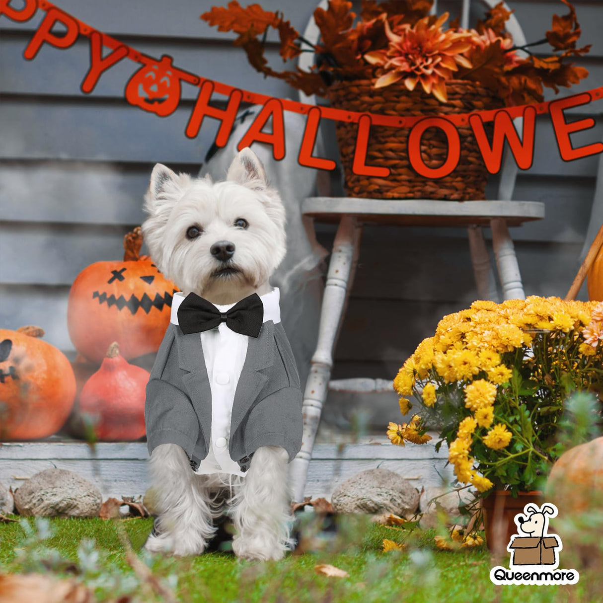 Queenmore Dog Tuxedo, Formal Outfit for Wedding & Halloween - Pet Tuxedo with Tie for Large, Medium & Small Dogs, Puppy & Cats (Grey, S)