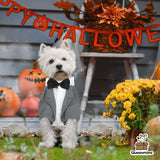Queenmore Dog Tuxedo, Formal Outfit for Wedding & Halloween - Pet Tuxedo with Tie for Large, Medium & Small Dogs, Puppy & Cats (Grey, S)