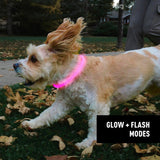Nite Ize NiteHowl Rechargeable LED Safety Necklace - Dog Light for Dog-Walking Gear - Weather-Resistant Design - 5 Hours Runtime - Cut to Fit from 12” to 27” - Tie Dye Pink