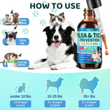 Oral Flea & Tick Support for Dogs and Cats, Natural Flea and Tick Prevention with Multivitamins - Flea Herbal Supplement Drops for Healthy Skin & Shiny Coat Support - All Breeds and Ages - Chicken