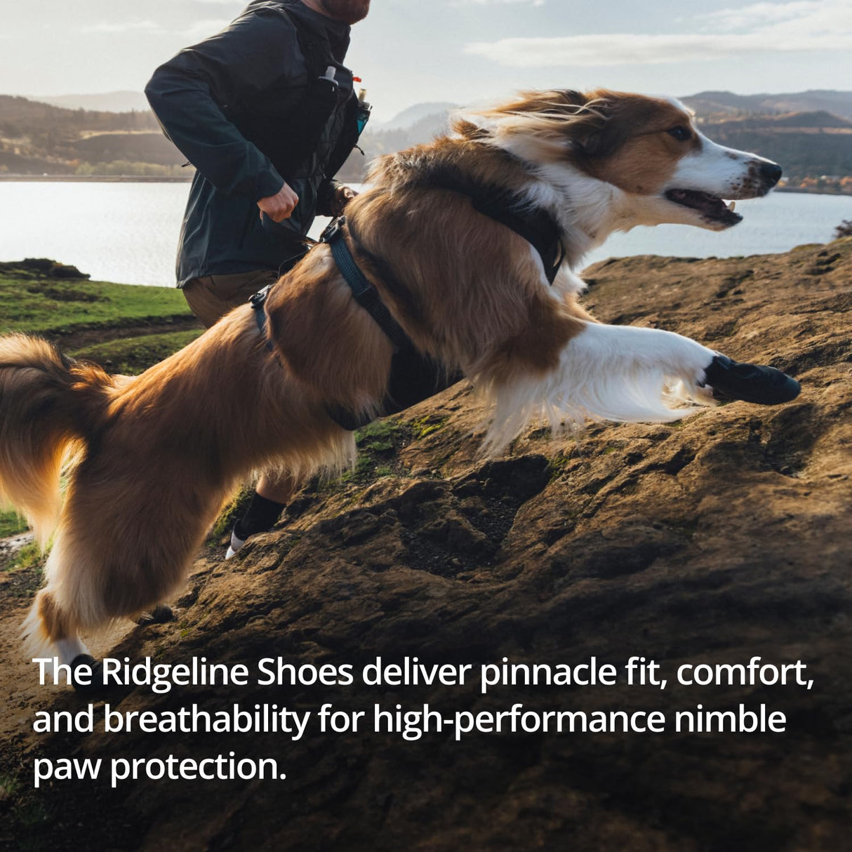 Ruffwear, Ridgeline Dog Boots, Breathable Knit Upper, Nonslip Rubber Outsole, Multi-Directional Lugs, TPU Toe Rand, Reflective Strap, Easy On/Off, for Hot Pavement & Trail, Obsidian Black, 2.50"