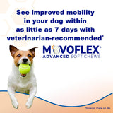 MOVOFLEX Advanced Soft Chews Hip Joint Support Supplement for Large Dogs 60 Count by Virbac