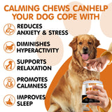 Calming Chews for Dogs - Anxiety Relief Treats Helps with Advanced Stress Relief, Separation Aid, Barking, Composure, Promote Relaxation - All Ages & Sizes, 180 Soft Chews