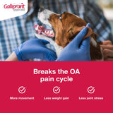 Galliprant Osteoarthritis Pain & Inflammation Control for Dogs | 20mg | 30 Flavored Tablets