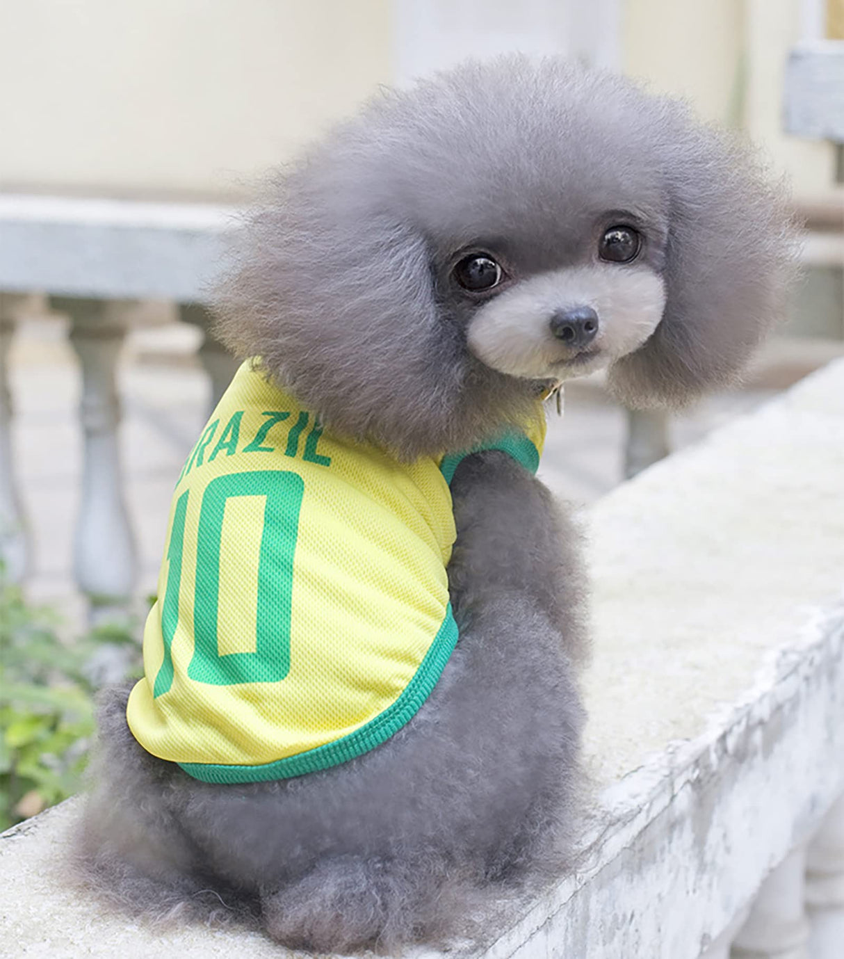 GabeFish Dog World Cup T Shirt Pets Football Jersey Sports Soccer National Team Vest Cat Summer Cool Clothes Apparel Brazil 4X-Large