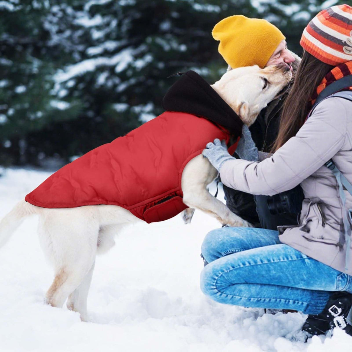 DORA BRIDAL Dog Puffer Coat, Warm Dog Jacket with Hood, Reflective Dogs Cold Weather Coats Pet Winter Vest for Medium Dogs, Pet Winter Vest, Red, M