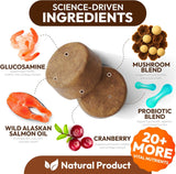 Turkey Tail Mushroom for Dogs - 170 Chews - Lion’s Mane - Shiitake - Reishi - Buddy Immune Support Guard - Mushroom Supplement for Dogs Lumps and Bumps Glucosamine, Health Vitamins Multivitamin