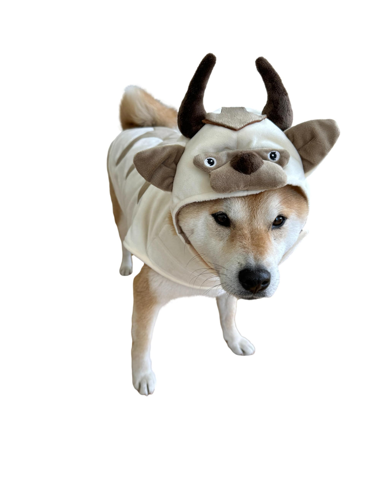 ComfyCamper Oxen Dog Costume - Viking Hat and Cape for Small Medium X Large Cosplay Halloween Costumes, Large