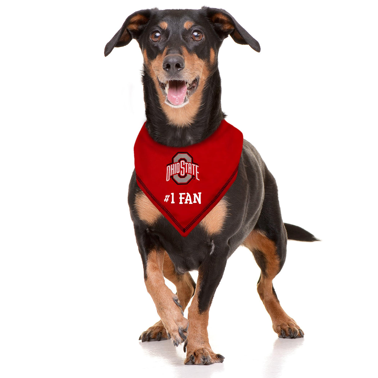 Pets First NCAA Ohio State Buckeyes Personalized Tie Bandana for Dogs & Cats, Size Large/X-Large. Custom Dog Bandana Scarf Bib for Pet Cat Dog. The Ultimate Game-Day & Party Customizable Bandana