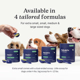 PetLab Co. ProBright Dental Powder - Dog Breath Freshener - Teeth Cleaning Made Easy – Targets Tartar & Bad Breath - Formulated for Medium Size Dogs - Pack of 2