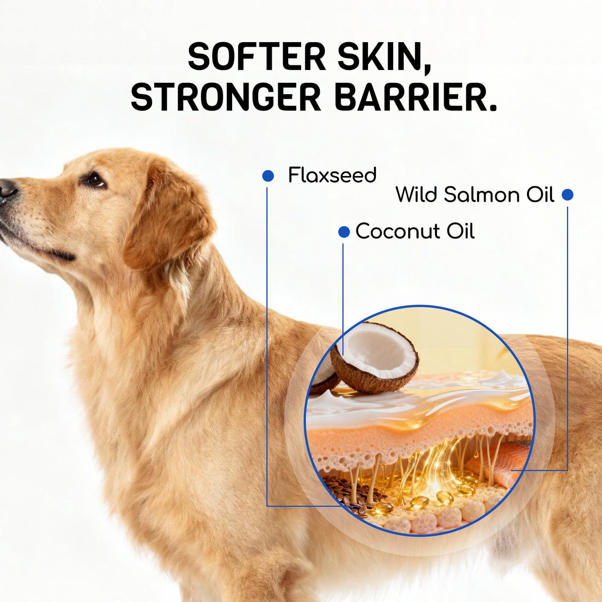 Furry Armor Dog Allergy Relief Chews - Dog Itching Skin Relief - 180 Chews - Anti-Itch, Hot Spots, Paw Licking - Immune Health - Omega 3 Fish Oil - Dry Itchy Skin and Coat Supplement