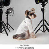 Luxury Pet Dress Shirt – White Designer Button-Up Outfit, Custumes, Formal Dog Shirt for Wedding, Birthday Party, Photoshoot, Puppy & Kitten Fashion Apparel (Medium 5.6–8.8 lbs)