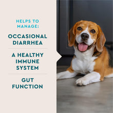 Load image into Gallery viewer, VetIQ Probiotic Powder for Dogs, Treats Diarrhea, Digestive Issues, Food Sensitivity, Chicken Flavored, Single-Serve Packets, 30 Count
