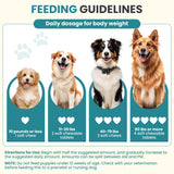 Probiotics for Dogs Gut Digestive Health Probiotic Chew for Dogs Digestive Enzymes Relieve Diarrhea Immunity Oral Problems Itching Constipation Prebiotics Dog Probiotics 200 Tablets Chicken Flavor
