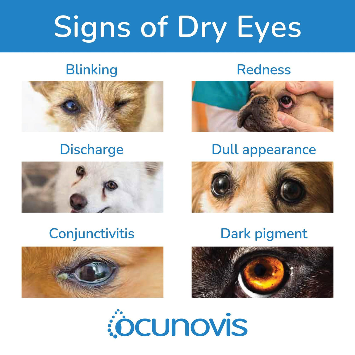 Sentrx - Ocunovis Gel Eye Drops for Dogs and Cats with Dry Eyes, Hydrating Cat and Dog Eye Drops with Hyaluronic Acid, Non-Blurring and Non-Stinging Artificial Tears, 5 ml, 3 Pack
