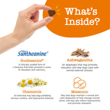 Load image into Gallery viewer, Zesty Paws Calming Chews for Dogs - for Everyday Stress, Relaxation, Composure, and Separation Turkey 90 Count
