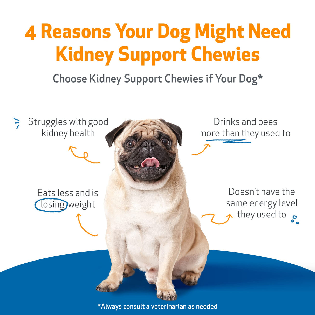Pet Wellbeing Kidney Support Chewies for Dogs - Vet-Formulated - Supports Healthy & Stable Kidney (Renal) Function, Normal Fluid Balance & Energy Levels, Rehmannia, Astragalus - 90 Soft Chews