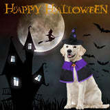 GOYOSWA Dog Halloween Costumes, Dog Witch Costume Halloween Dog Witch Cloak Cape Wizard Hat Halloween Costumes for Small Medium Large Dogs Pets (Large)