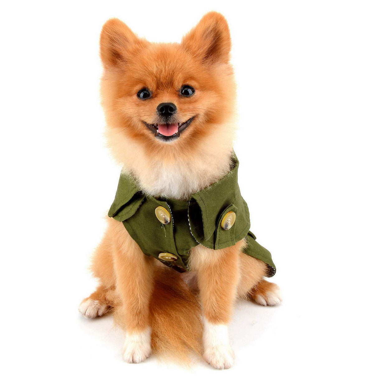PAIDEFUL Pet Trench Coat for Small Dogs Girl Boy Windproof Fashion Western Jacket Belted Outerwear Autumn Winter Dog Clothes for Puppy Chihuahua Yorkie,Army Green,Size XXL