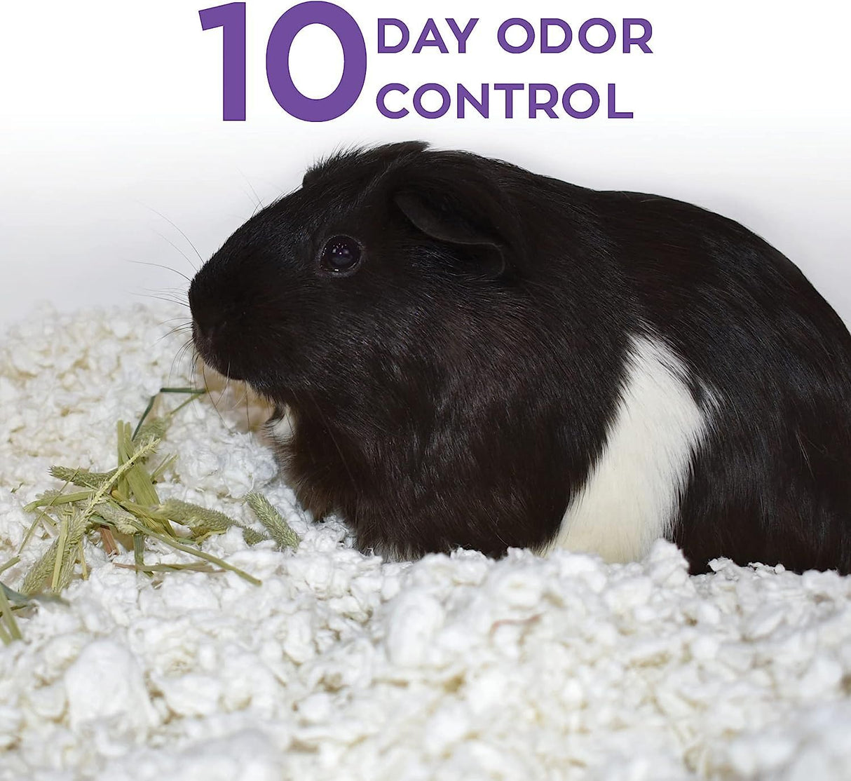 Carefresh 99% Dust-Free White Natural Paper Small Pet Bedding with Superior 10 Day Odor Control & Absorption, for Guinea Pigs, Hamsters, Rabbits, & Rats, 50 L