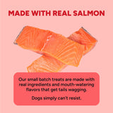 Cloud Star Dynamo Dog Skin & Coat Soft Chews Grain Free Dog Treats, Salmon, 14 oz. Pouch
