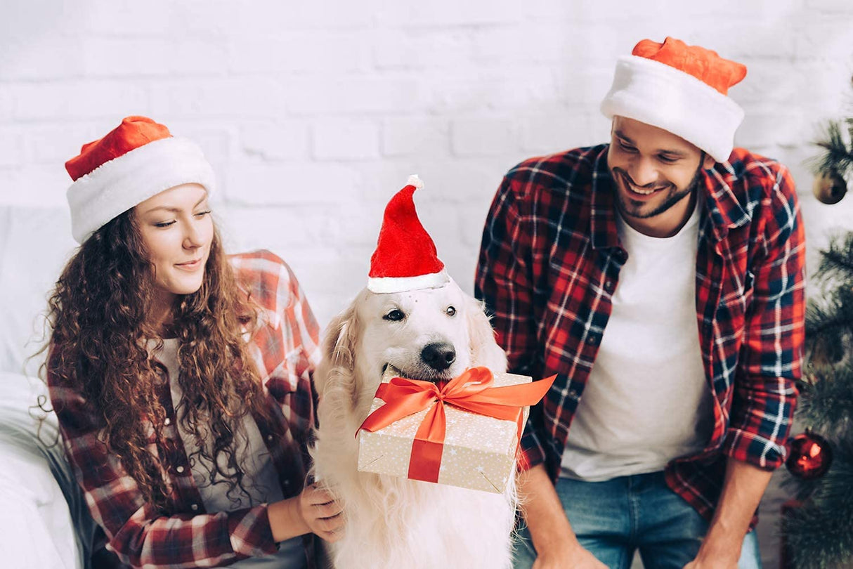 Beiabang 10 Pcs Dog Cat Pet Santa Hat Christmas Pet Costumes Santa Hat Pet Christmas Photo Props for Puppy Kitten Small Cats Dog