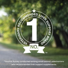 Load image into Gallery viewer, Nutramax Laboratories Denamarin Liver Health Supplement for Large Dogs - With S-Adenosylmethionine (SAMe) and Silybin, 30 Tablets(Pack of 1)
