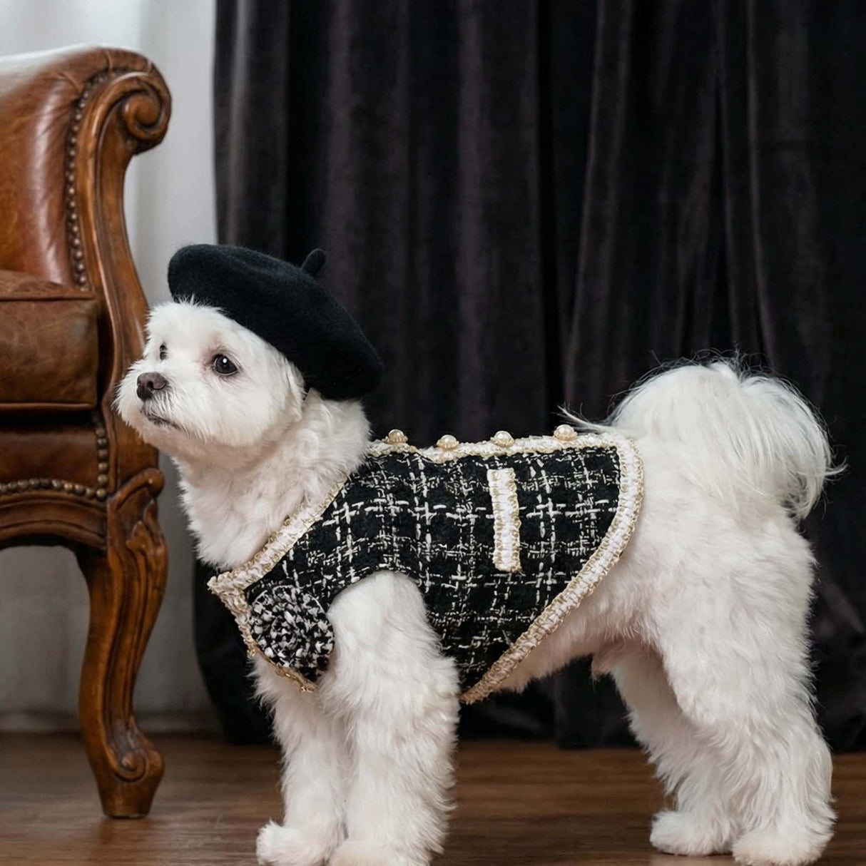 Luxury Dog Clothes Tweed Suits and Beret Hat,Black Winter Warm Pet Coat Vintage Jacket Vest,Cat Artist Costume Cosplay Party Outfits for Small Medium Dogs,XS