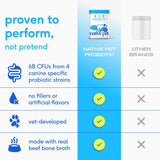 Native Pet Probiotics for Dogs - Dog Probiotics Powder for Digestive Health, Gut Support, & Immune Boost – Vet-Formulated Powder for Maximum Potency with Digestive Enzymes & Prebiotics - 60 Scoops