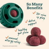 WOOF Pupsicle Refill Pops for Allergy Support for Dogs - Allergy Dog Treats for The Pupsicle Toy to Support Your Dog’s Natural Immune Defenses - Large Pops - 7 Count