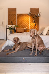NOAH & PAW Giant Dog Bed XXL 55x45x9.5 Inch, Orthopedic Dog Beds, Eggshell Memory Foam Infused with Cooling Gel, Waterproof, Machine Washable, Includes Inner Cover (Faux Leather)
