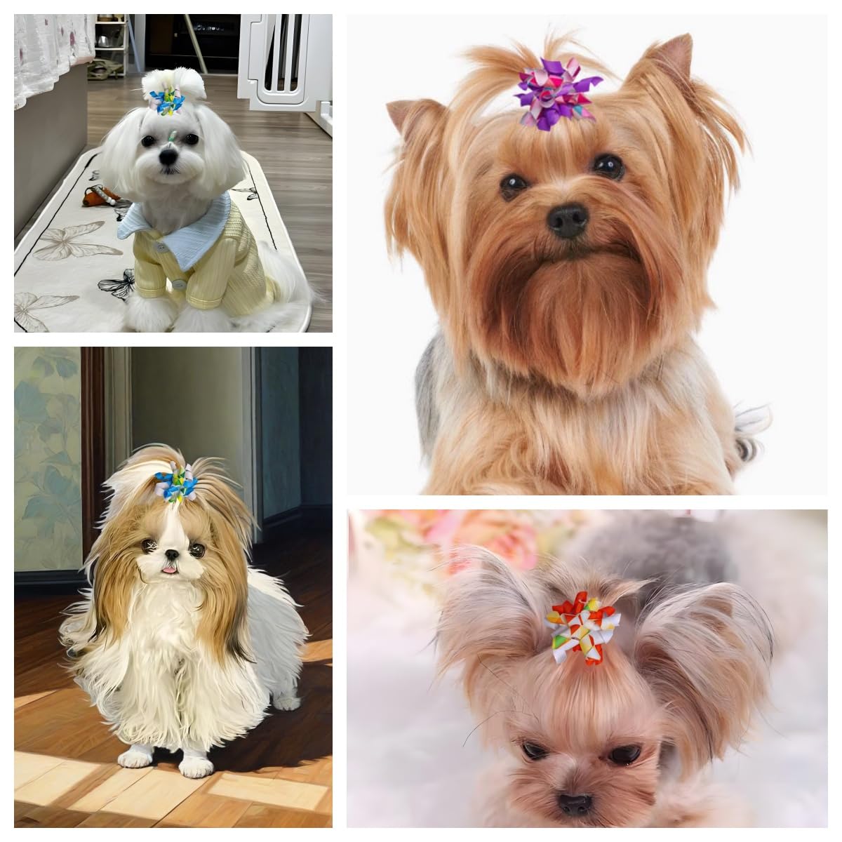 Tnasa 13 Pairs Elastic Dog Hair Bows with Rubber Bands Small Medium Dogs Pet Spiral Puppy Swirl Topknot Cat Festival Hair Accessories (Holiday Assorted)