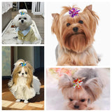 Tnasa 13 Pairs Elastic Dog Hair Bows with Rubber Bands Small Medium Dogs Pet Spiral Puppy Swirl Topknot Cat Festival Hair Accessories (Holiday Assorted)