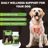 lvermect Tablets for Dogs, 99% Purity for Gut Health Detox, Promotes Immune & Digestive Support - 7.5mg(100 Tablets)