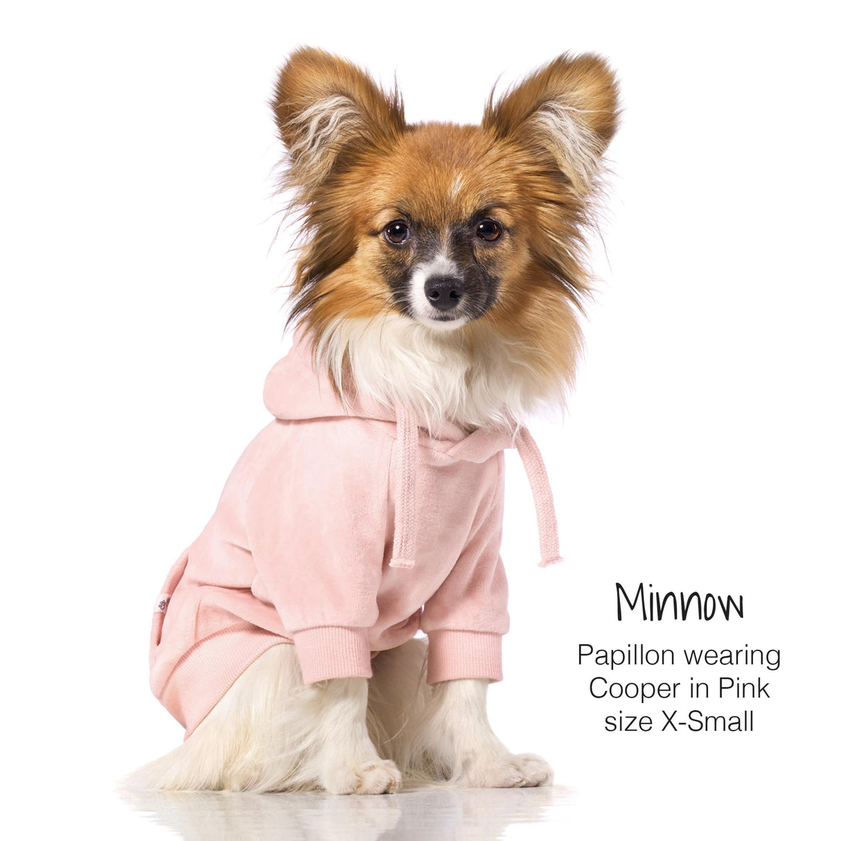 Pet Passion Velour Dog Pet Hoodie Coat for Small, Medium and Large Dogs, Pink, XX-Small