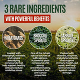 Gussy's Gut Youthful Grasses & Sprouts Dog Gut & Digestive Health Supplement- Human Grade Fermented Ingredients- Super Greens, Pre/Post & Probiotic All in One - Maintain Protocol