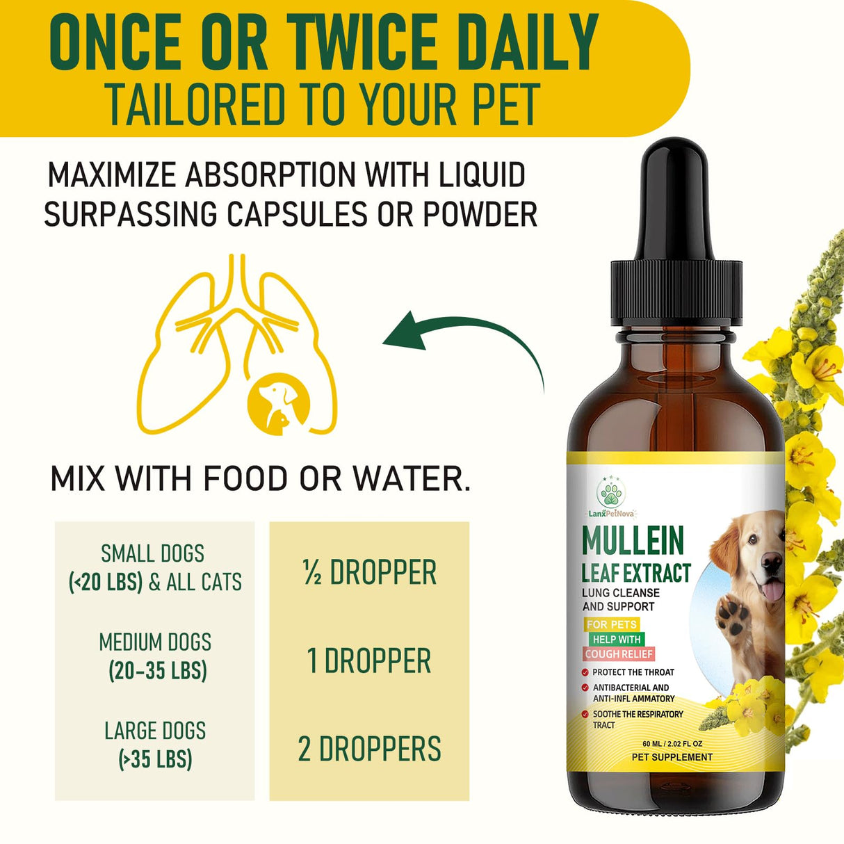 Mullein Lung Support Drops for Dogs & Cats, Relieves Kennel & Dry & Wet Cough, Lung Cleanse, Soothes Sore Throat, Eases Breathing - Pure Plant Extract, Hormone & Chemical Free, with Chlorophyll