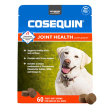 Load image into Gallery viewer, COSEQUIN Maximum Strength Joint Supplement Plus MSM &amp; Omega-3's - With Glucosamine and Chondroitin - For Dogs of All Sizes (Soft Chews)
