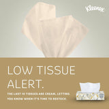 Kleenex® Professional Facial Tissues, Bulk (03076), 2-Ply, White, Flat Facial Tissue Boxes for Business, Convenience Case (125 Tissues/Box, 12 Boxes/Case, 1,500 Tissues/Case)