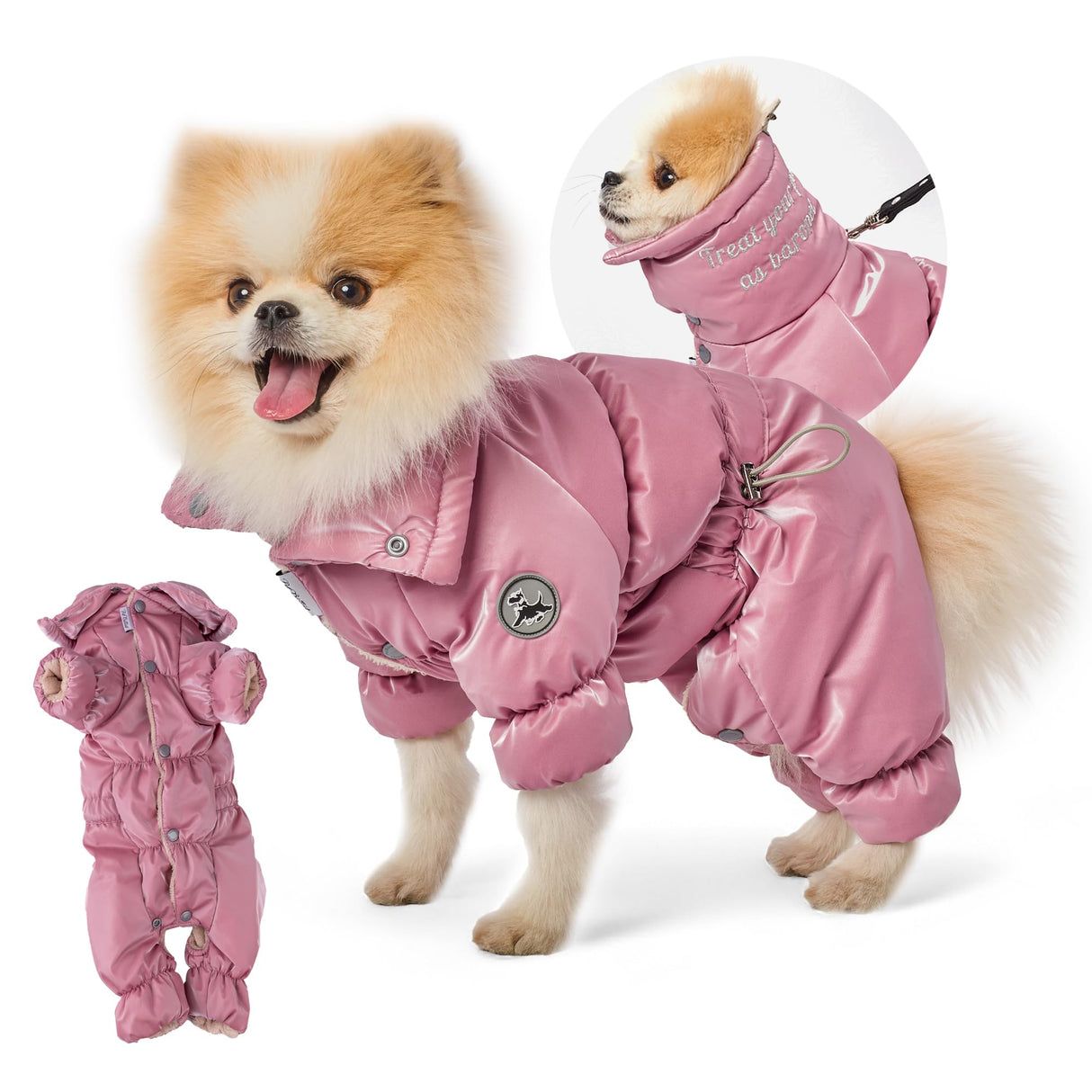 PETBARONET Winter Dog Coat for Female Pups with Full Belly Coverage, Girl Dog Clothes, Snow Jacket for Dogs, Snowsuit, Winter Coat for Dogs for Cold Weather, Ideal for Small Medium Dogs (X-Large)